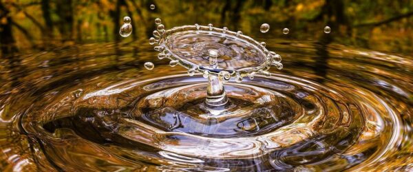 Everyone Who Thirsts: A Sermon on Inclusion for Lent 3C on Isaiah 55:1-9